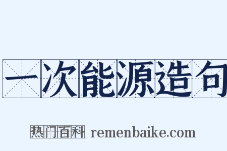 一次能源造句是什么意思的图片